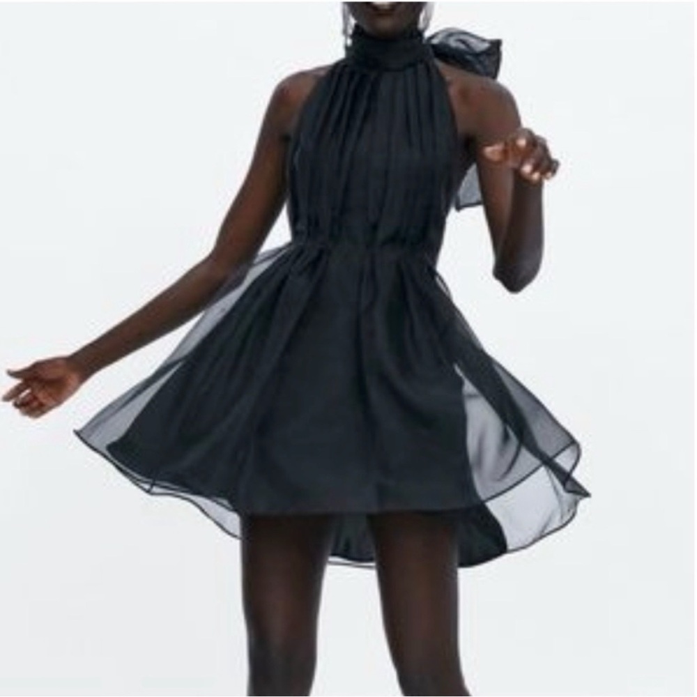 Zara mini Organza Dress
